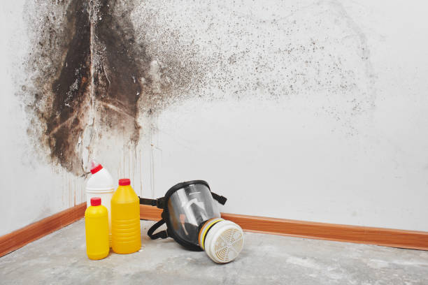 Best Emergency Mold Removal  in Monterey Park, CA