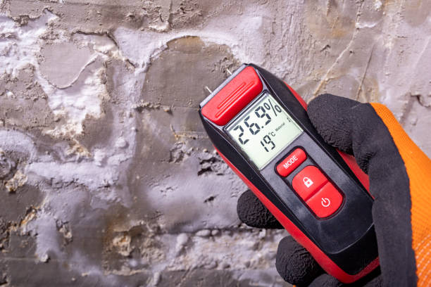 Best Fast Mold Removal  in Monterey Park, CA