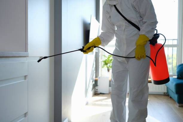 Best Mold Damage Repair  in Monterey Park, CA