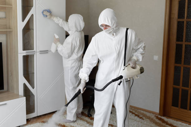 Best Toxic Mold Removal  in Monterey Park, CA