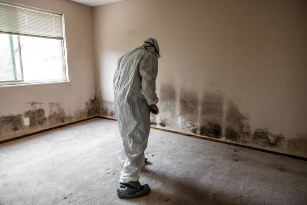 Best Mold Testing  in Monterey Park, CA