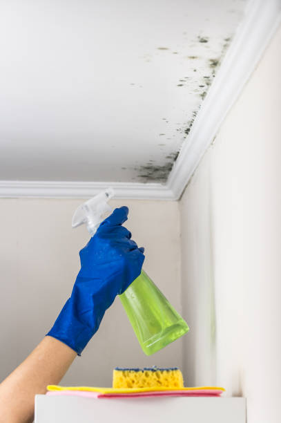 Best Mold Testing  in Monterey Park, CA